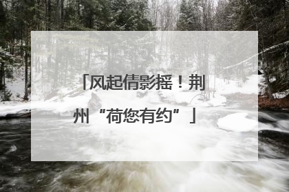 风起倩影摇！荆州“荷您有约”